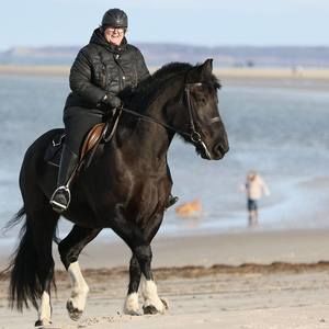 Meet your Posher, Renee